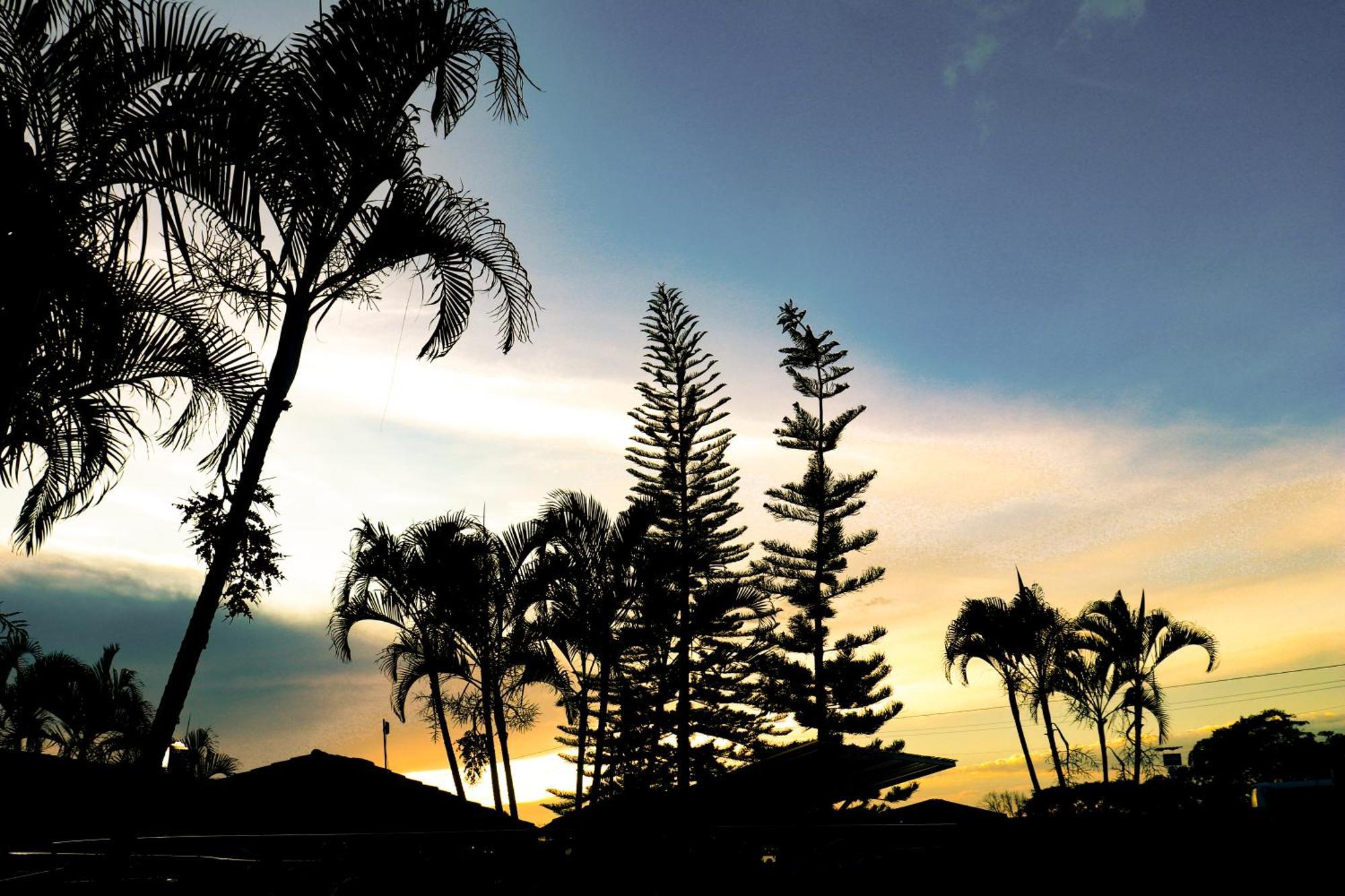Hotel Quindio Campestre مونتينيغرو المظهر الخارجي الصورة